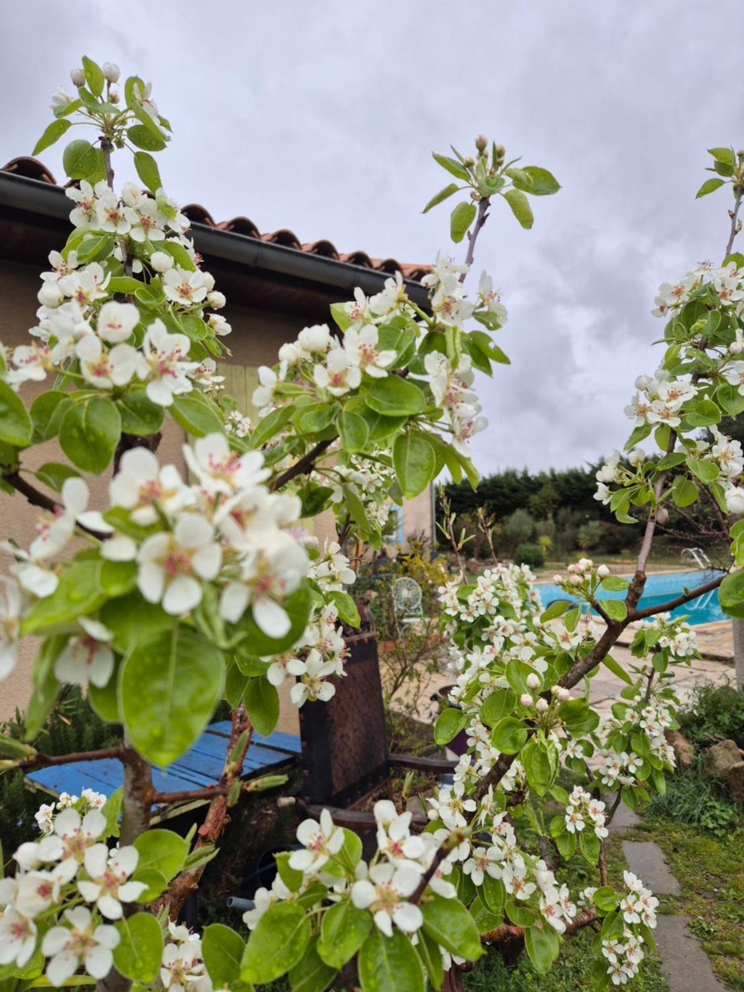Bel Hotel Restaurant La Gentilhommiere Trèbes 外观 照片